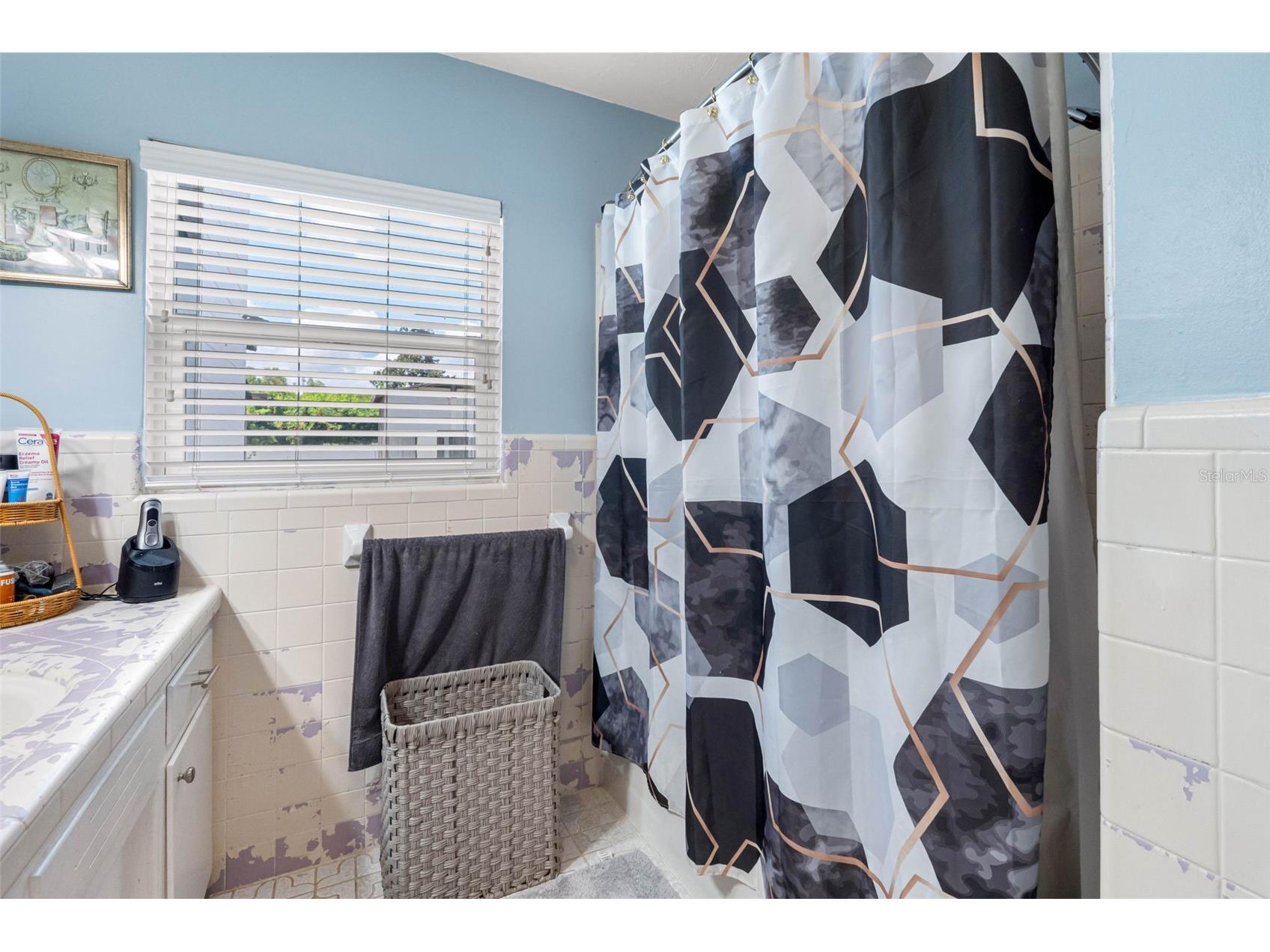 5515 Lake Le Clare Road Lutz FL 33558 TB8516728 image37