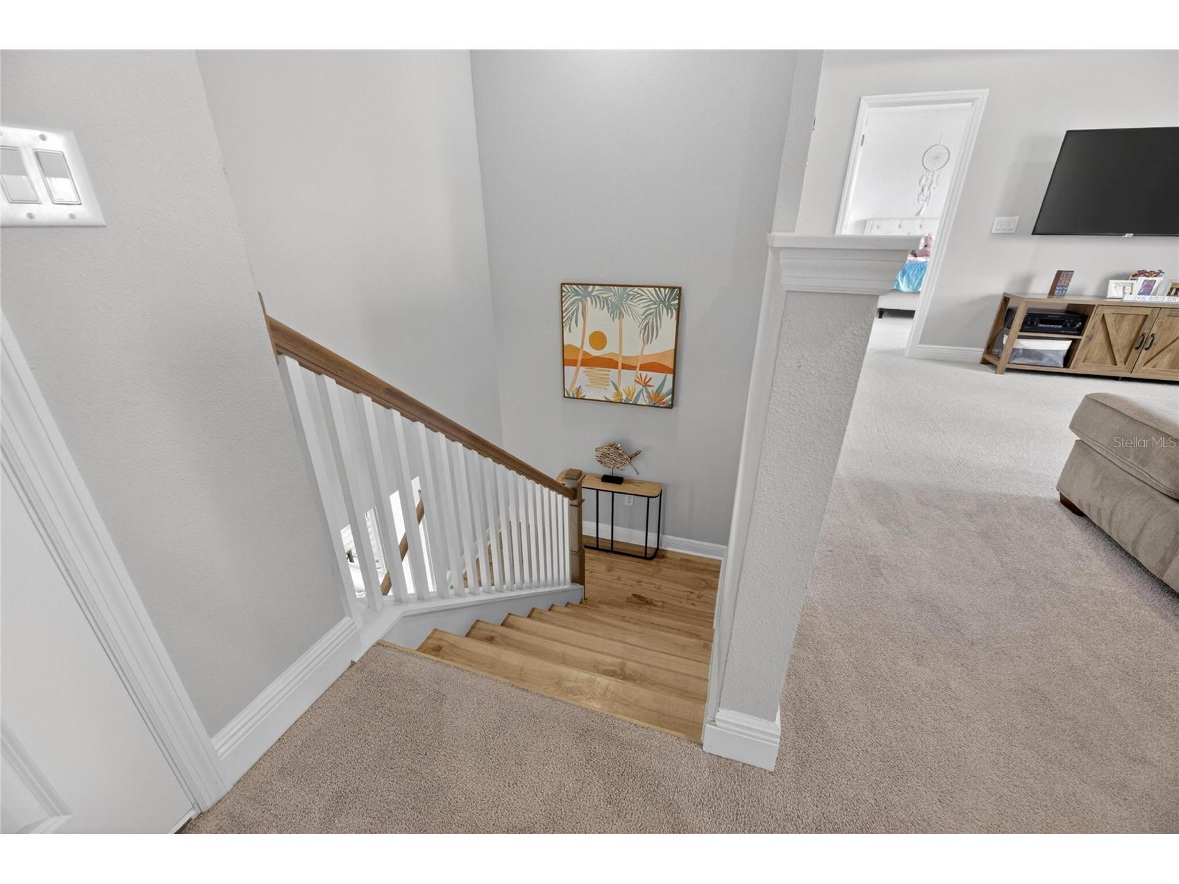 5515 Madrigal Way Apollo Beach FL 33572 TB8498510 image42