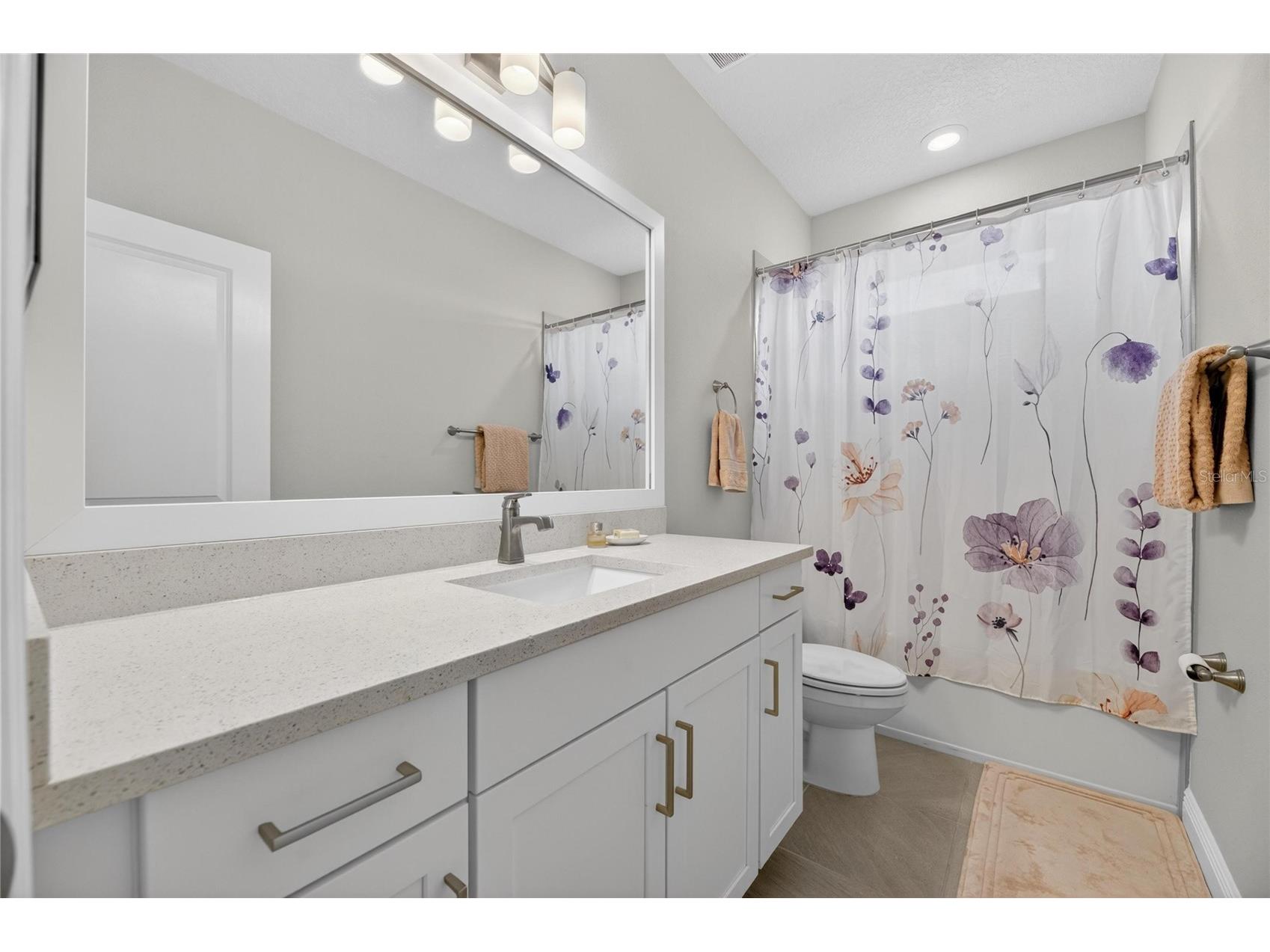5515 Madrigal Way Apollo Beach FL 33572 TB8498510 image50
