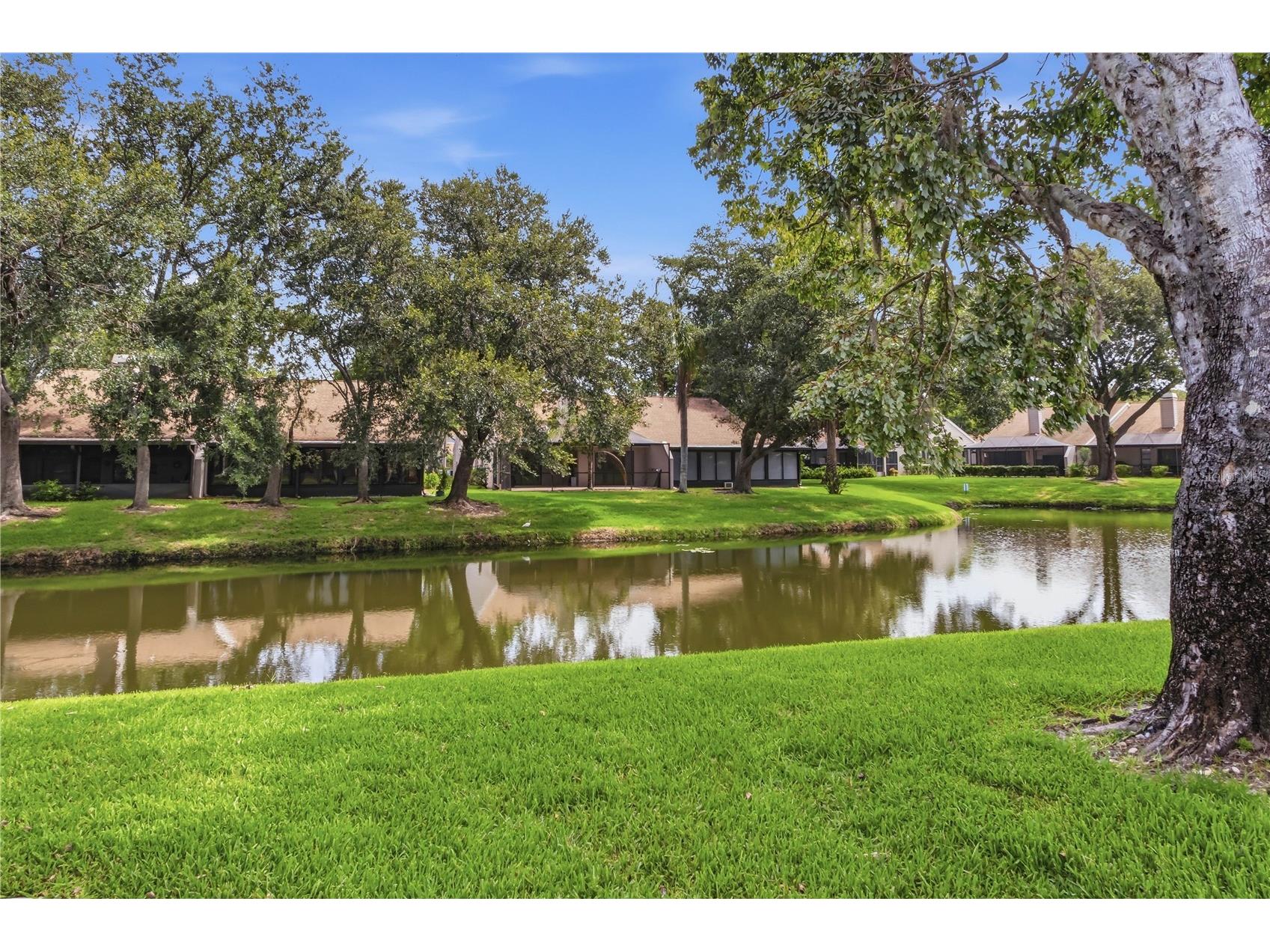 5515 Salem Square Drive S Palm Harbor FL 34685 TB8517528 image2