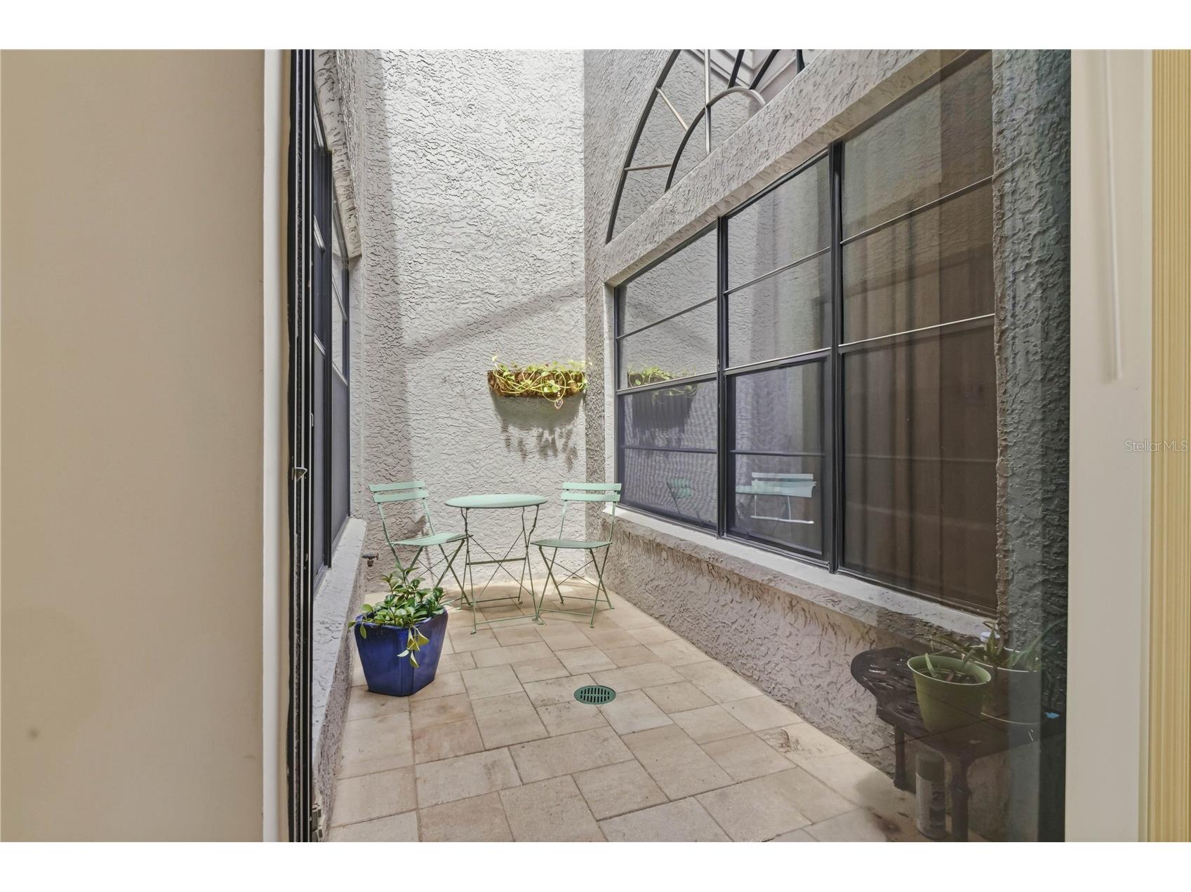 5515 Salem Square Drive S Palm Harbor FL 34685 TB8517528 image28