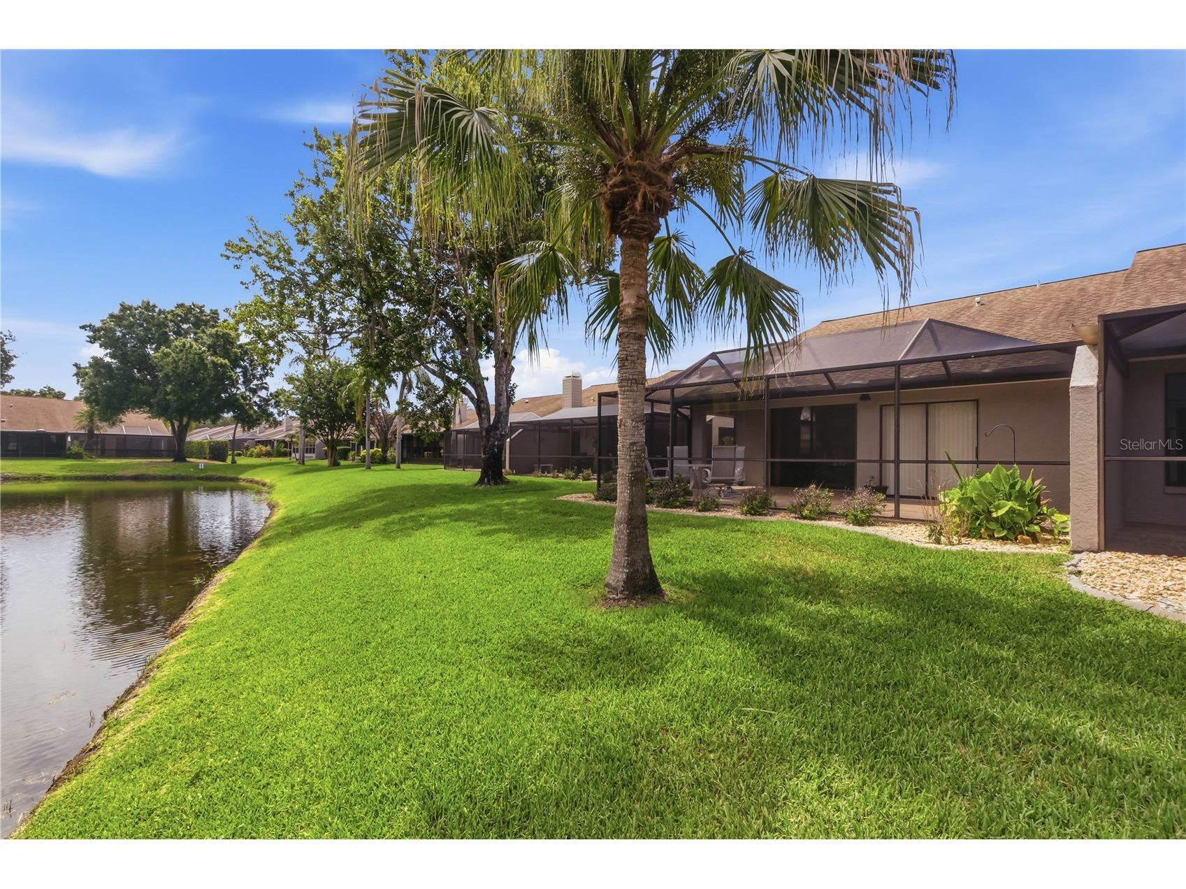 5515 Salem Square Drive S Palm Harbor FL 34685 TB8517528 image34