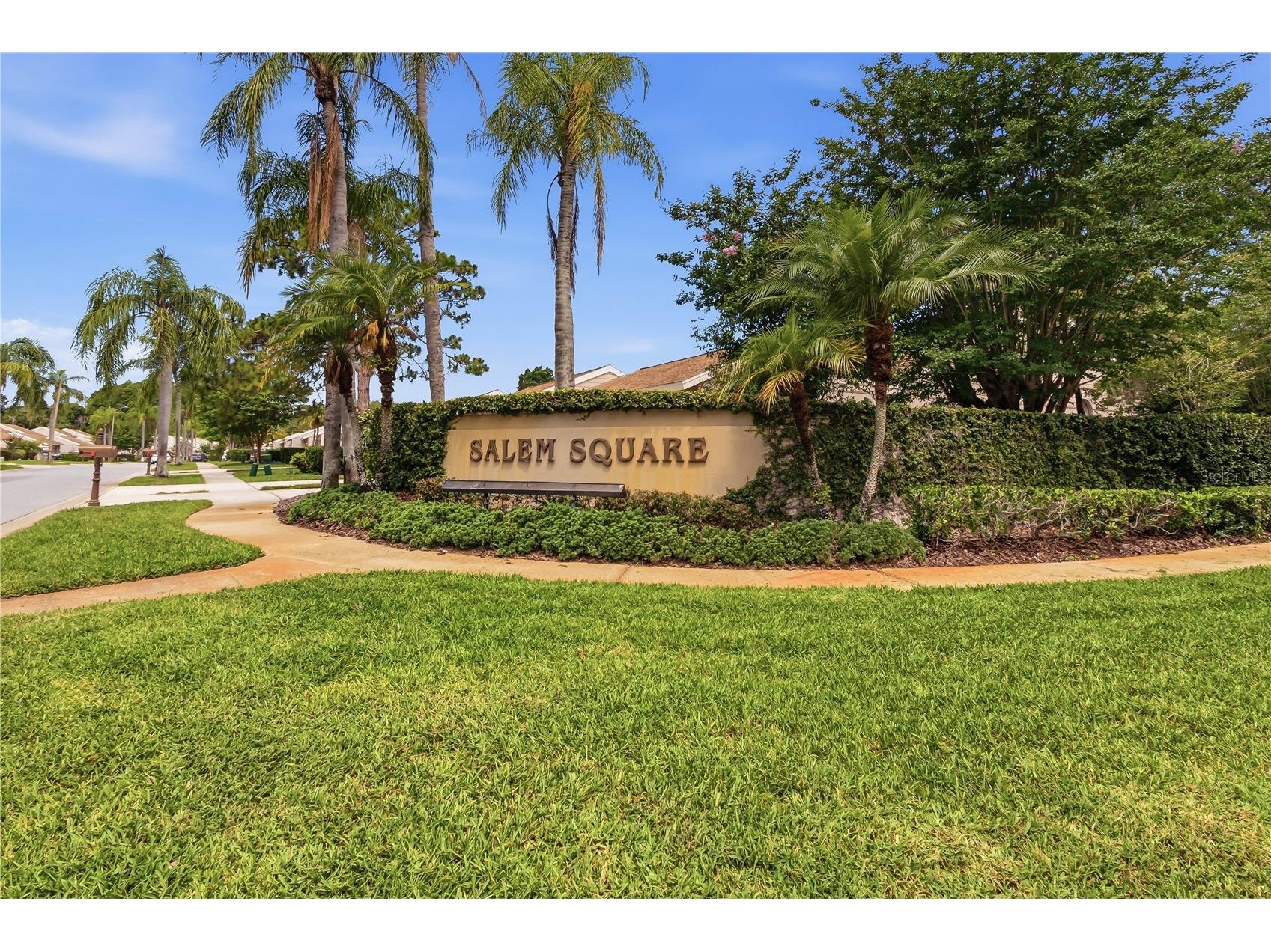 5515 Salem Square Drive S Palm Harbor FL 34685 TB8517528 image38