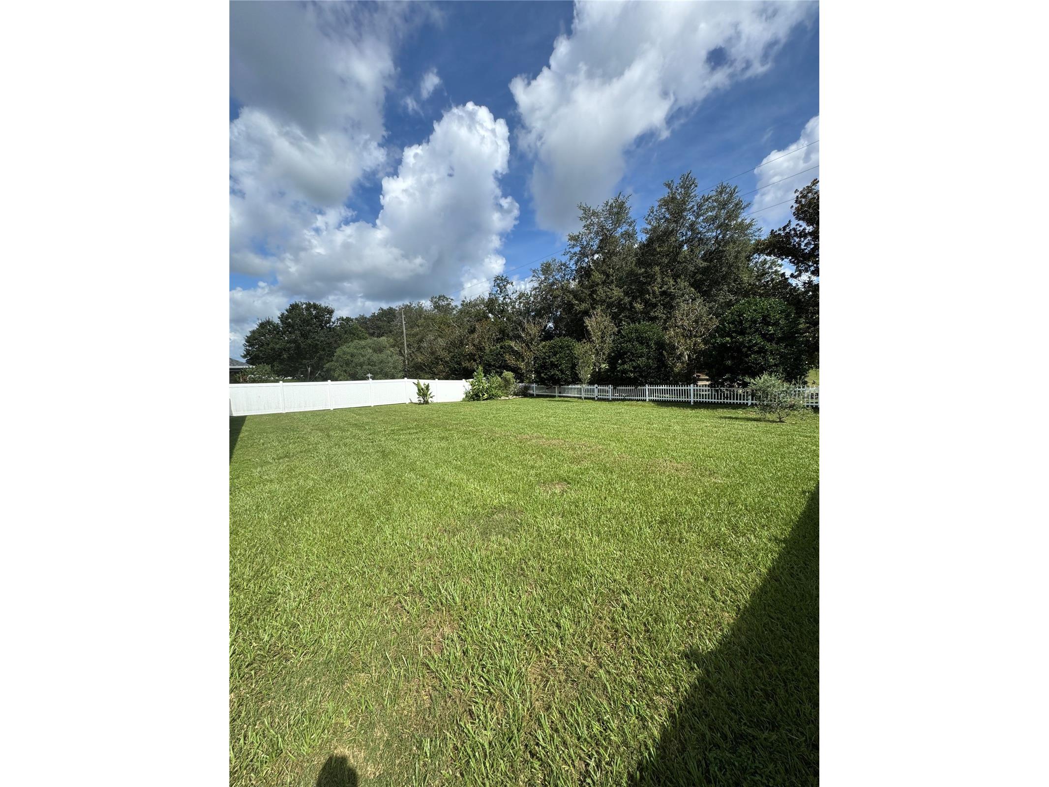 5515 SE 91st Street Ocala FL 34480 TB8465145 image7