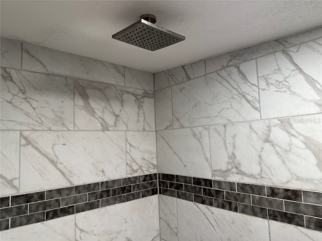 5516 9th Street Zephyrhills FL 33542 TB8407621 image33