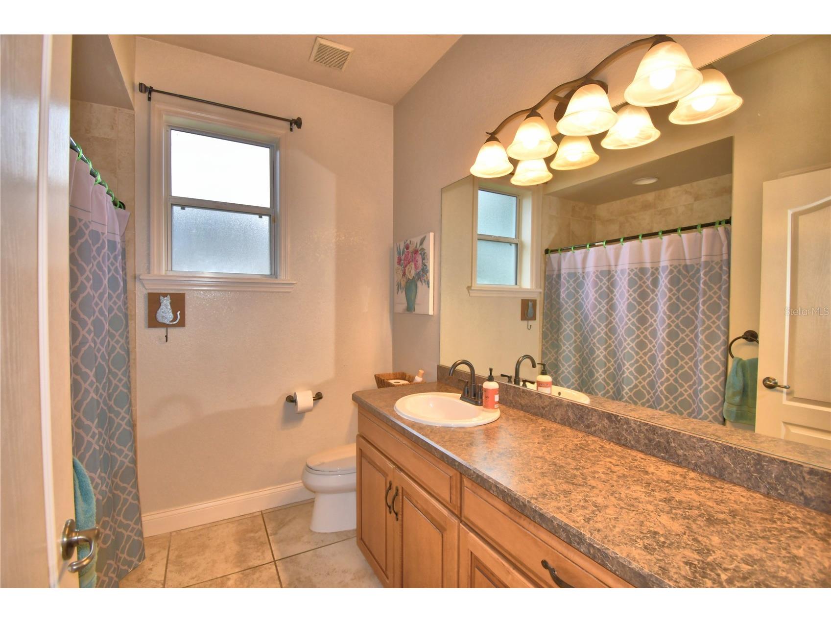 5516 Black Hawk Lane Lakeland FL 33810 P4939180 image50