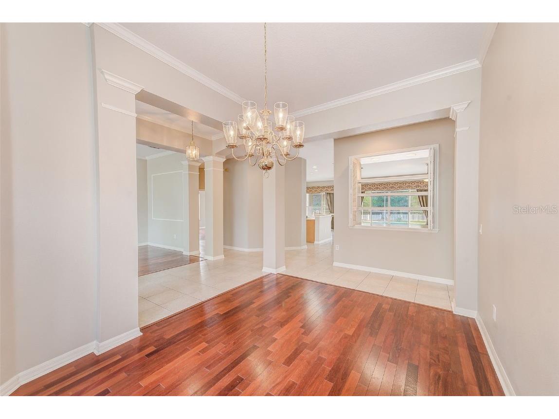 5516 Garden Arbor Drive Lutz FL 33558 TB8461544 image10