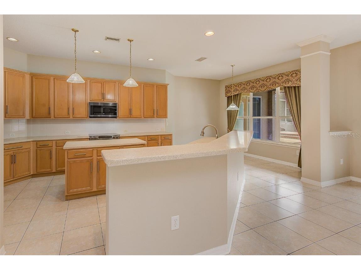 5516 Garden Arbor Drive Lutz FL 33558 TB8461544 image17