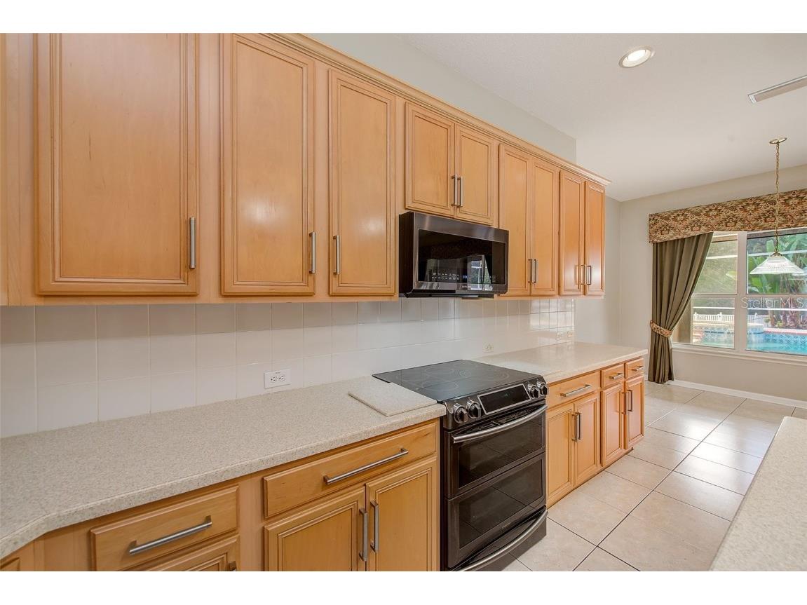 5516 Garden Arbor Drive Lutz FL 33558 TB8461544 image21