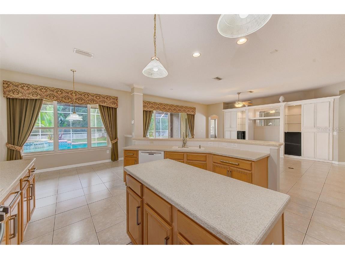 5516 Garden Arbor Drive Lutz FL 33558 TB8461544 image22