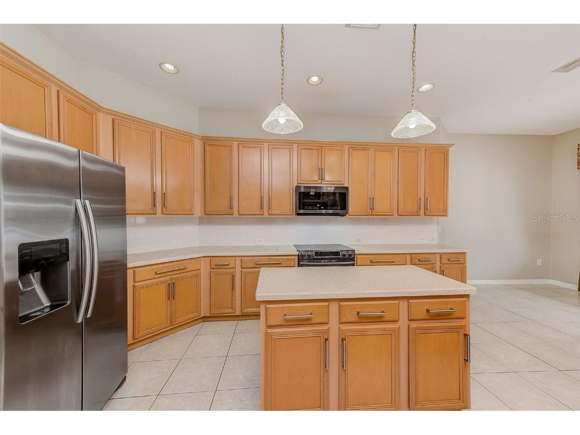 5516 Garden Arbor Drive Lutz FL 33558 TB8461544 image23