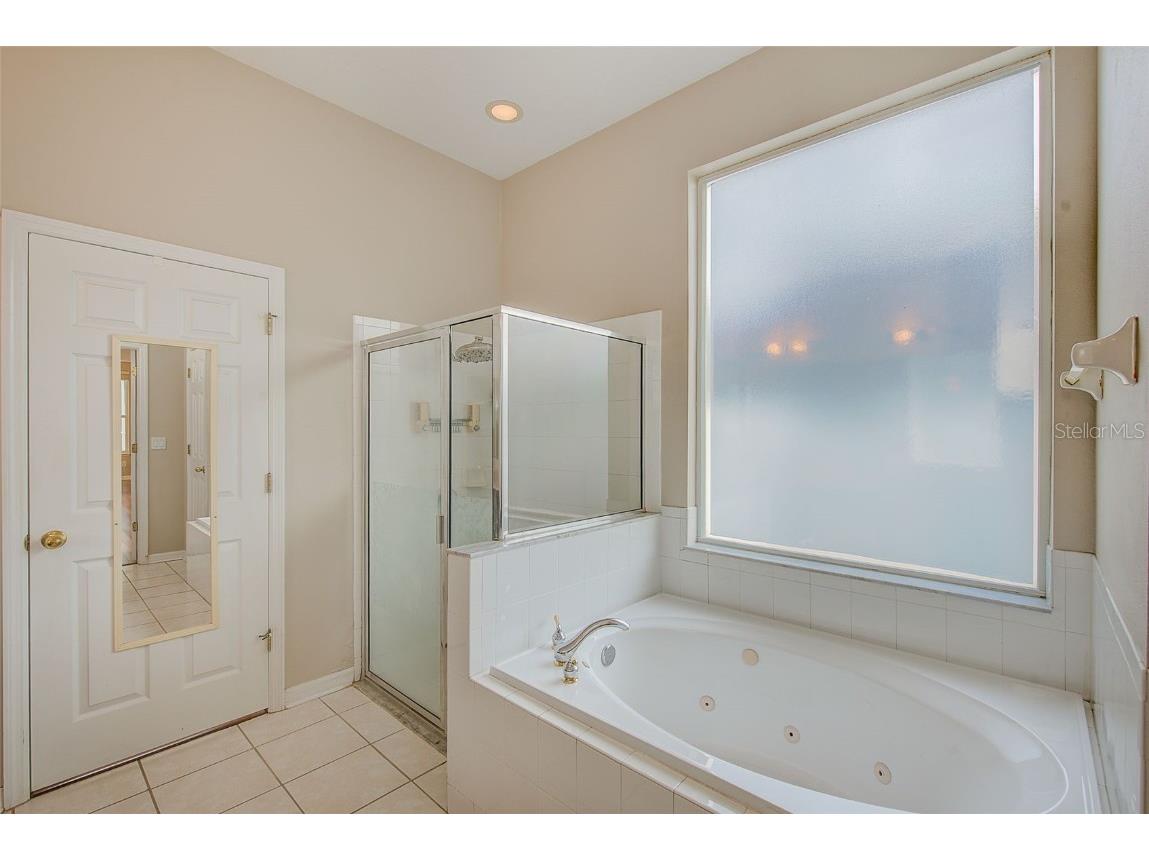 5516 Garden Arbor Drive Lutz FL 33558 TB8461544 image28