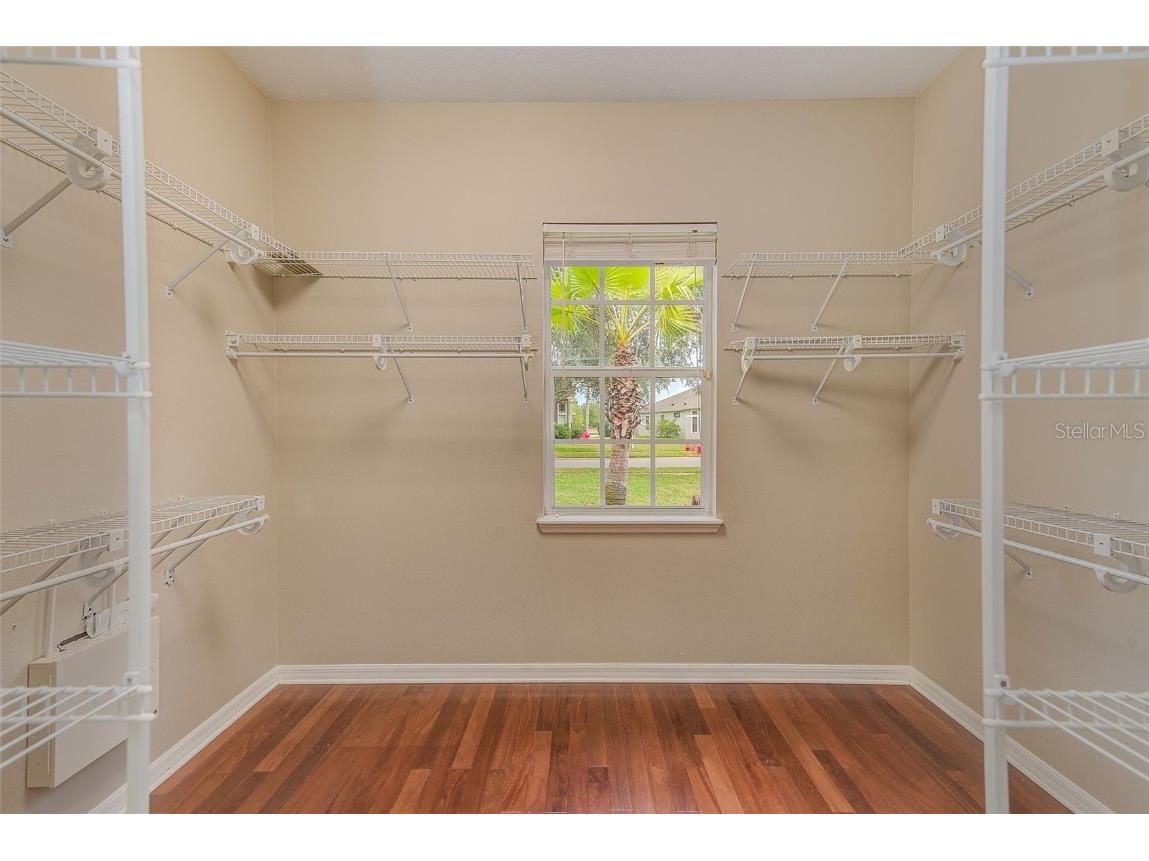 5516 Garden Arbor Drive Lutz FL 33558 TB8461544 image29