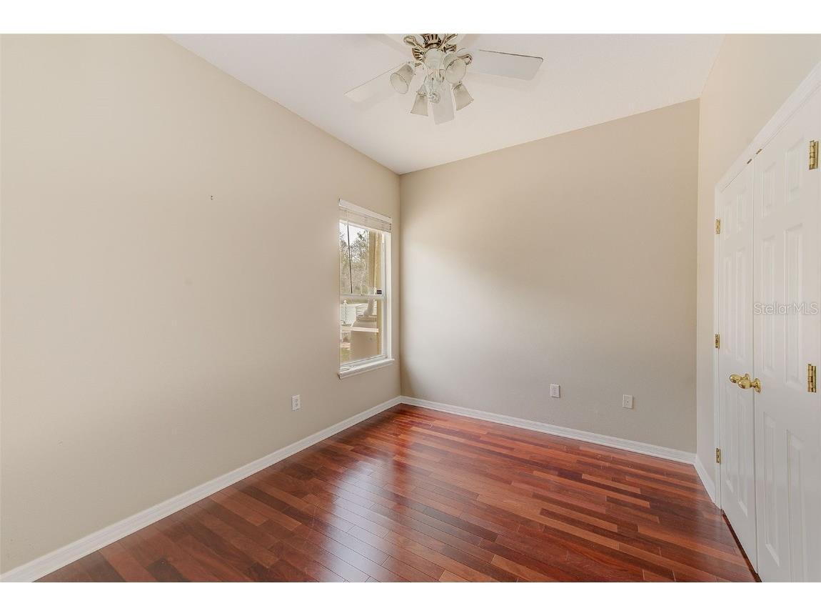 5516 Garden Arbor Drive Lutz FL 33558 TB8461544 image37