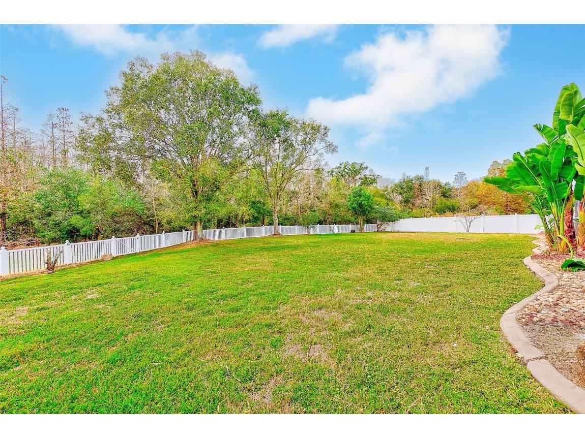 5516 Garden Arbor Drive Lutz FL 33558 TB8461544 image51