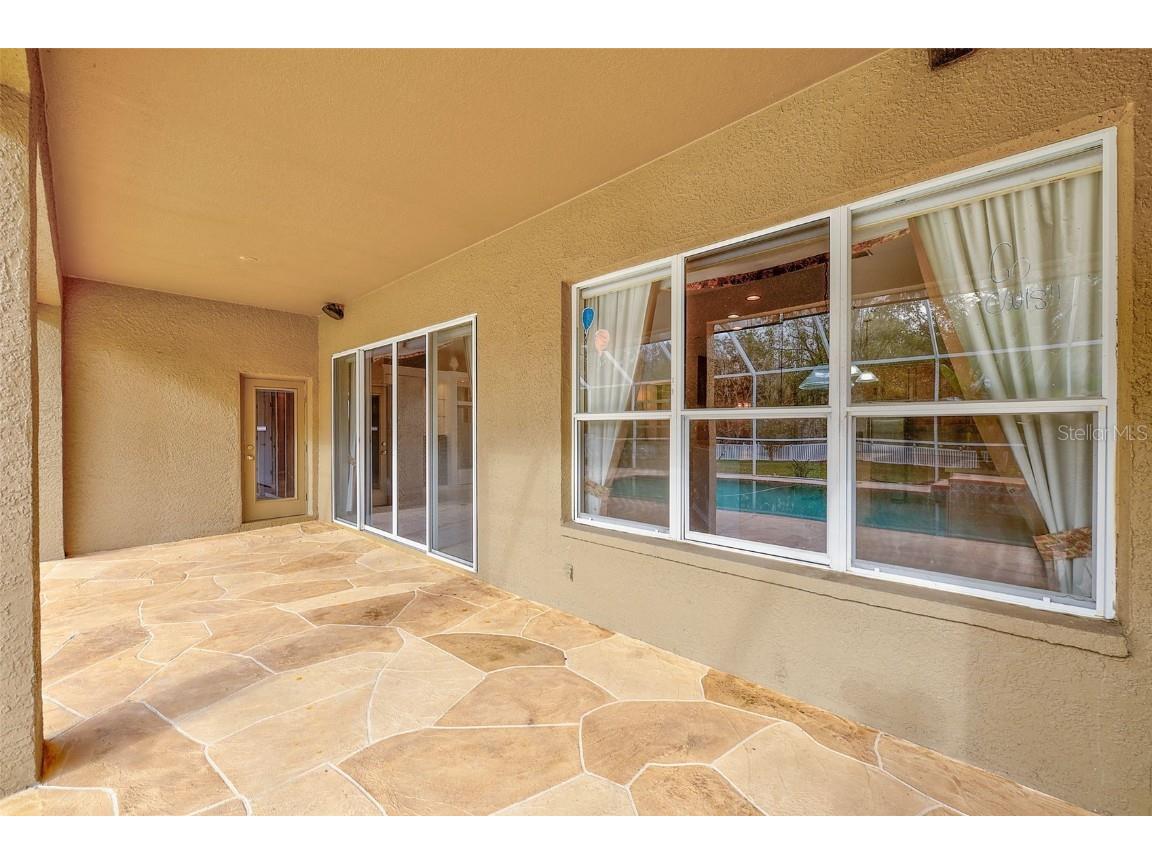 5516 Garden Arbor Drive Lutz FL 33558 TB8461544 image56