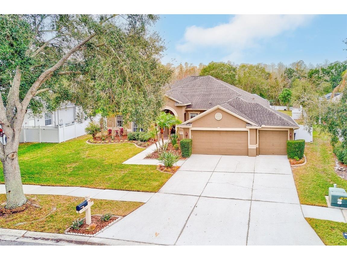 5516 Garden Arbor Drive Lutz FL 33558 TB8461544 image57