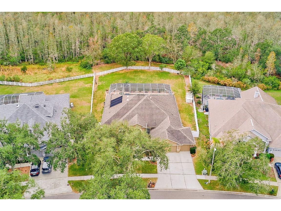 5516 Garden Arbor Drive Lutz FL 33558 TB8461544 image58