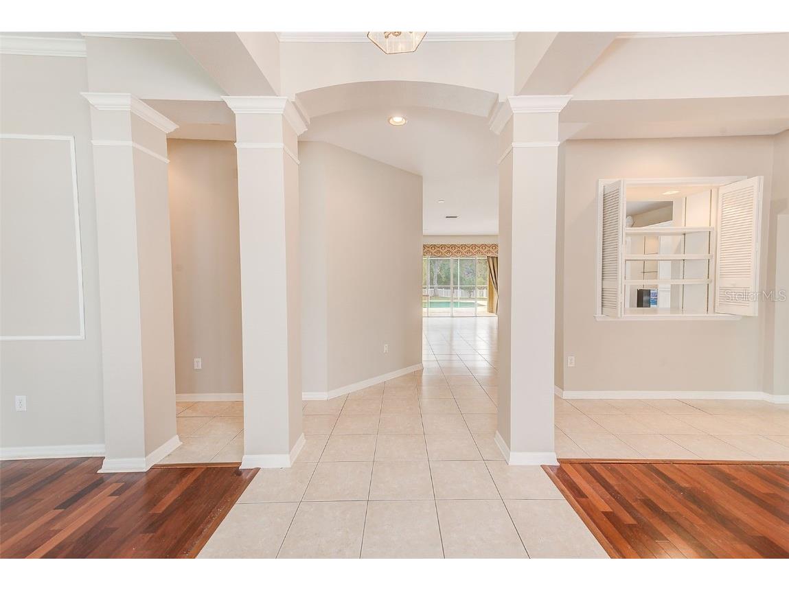 5516 Garden Arbor Drive Lutz FL 33558 TB8461544 image6