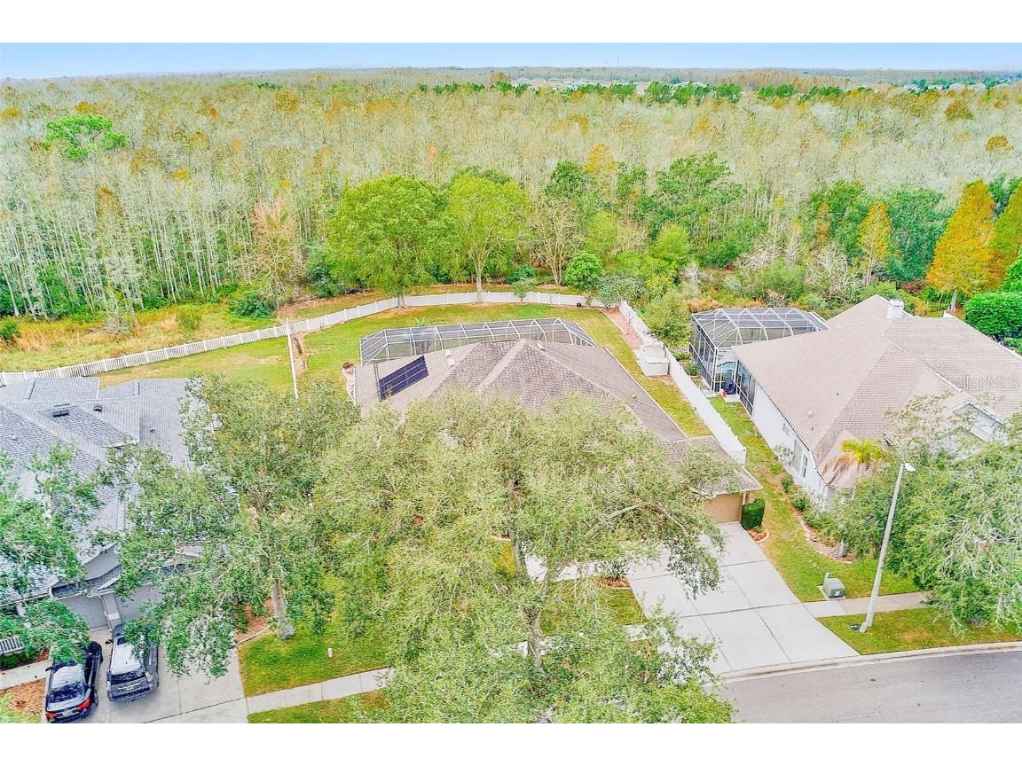 5516 Garden Arbor Drive Lutz FL 33558 TB8461544 image60