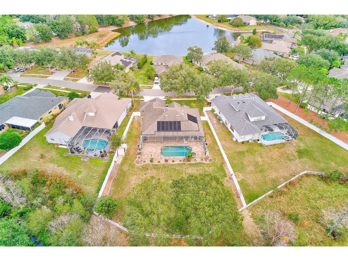 5516 Garden Arbor Drive Lutz FL 33558 TB8461544 image62