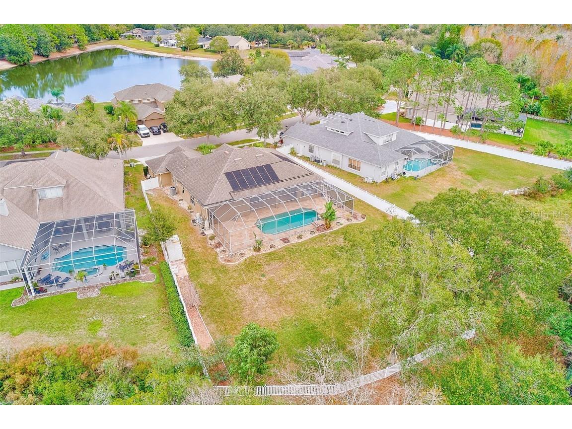 5516 Garden Arbor Drive Lutz FL 33558 TB8461544 image64