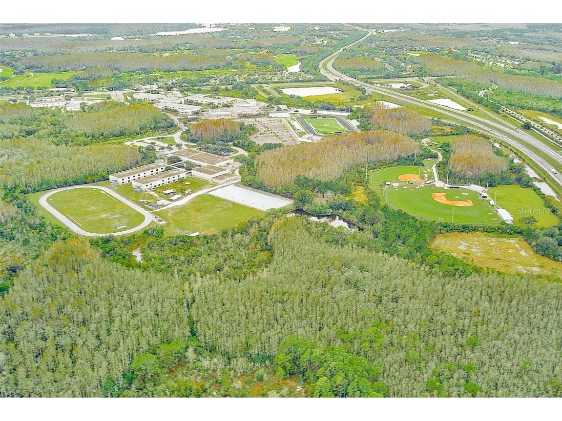 5516 Garden Arbor Drive Lutz FL 33558 TB8461544 image65