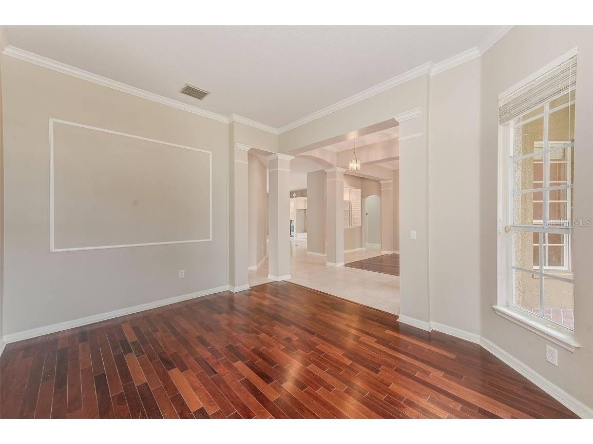 5516 Garden Arbor Drive Lutz FL 33558 TB8461544 image7