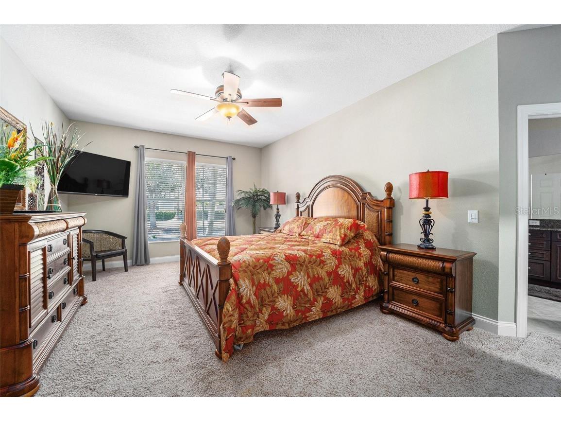 5516 Luminar Pointe Lane Apollo Beach FL 33572 TB8439800 image22