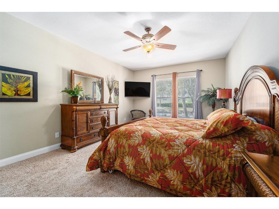 5516 Luminar Pointe Lane Apollo Beach FL 33572 TB8439800 image24