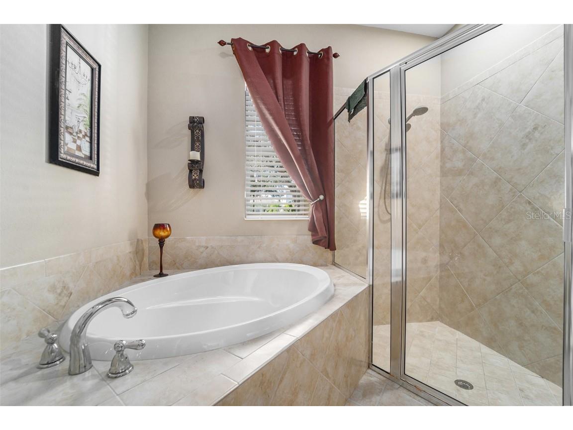 5516 Luminar Pointe Lane Apollo Beach FL 33572 TB8439800 image26