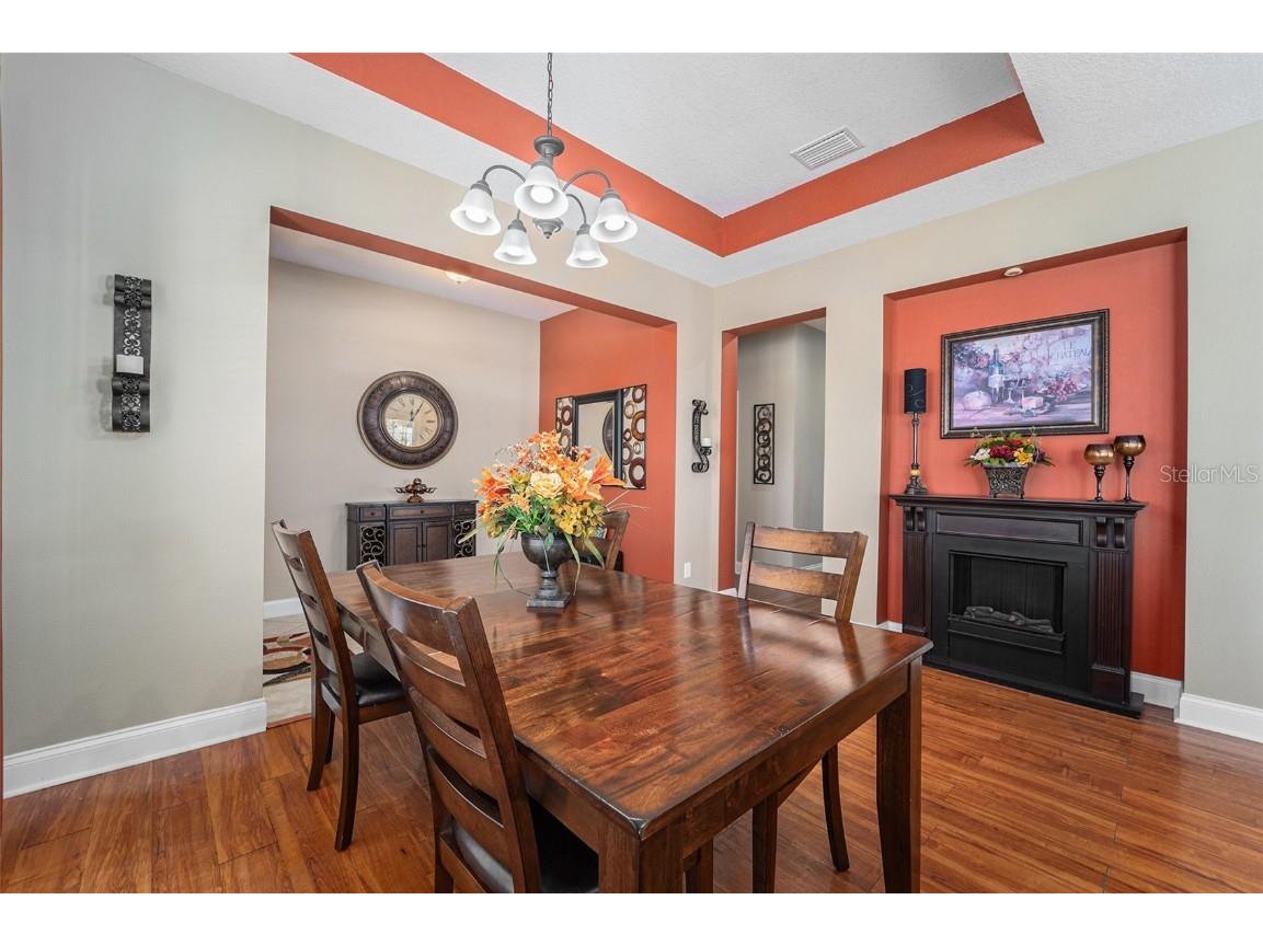 5516 Luminar Pointe Lane Apollo Beach FL 33572 TB8439800 image7