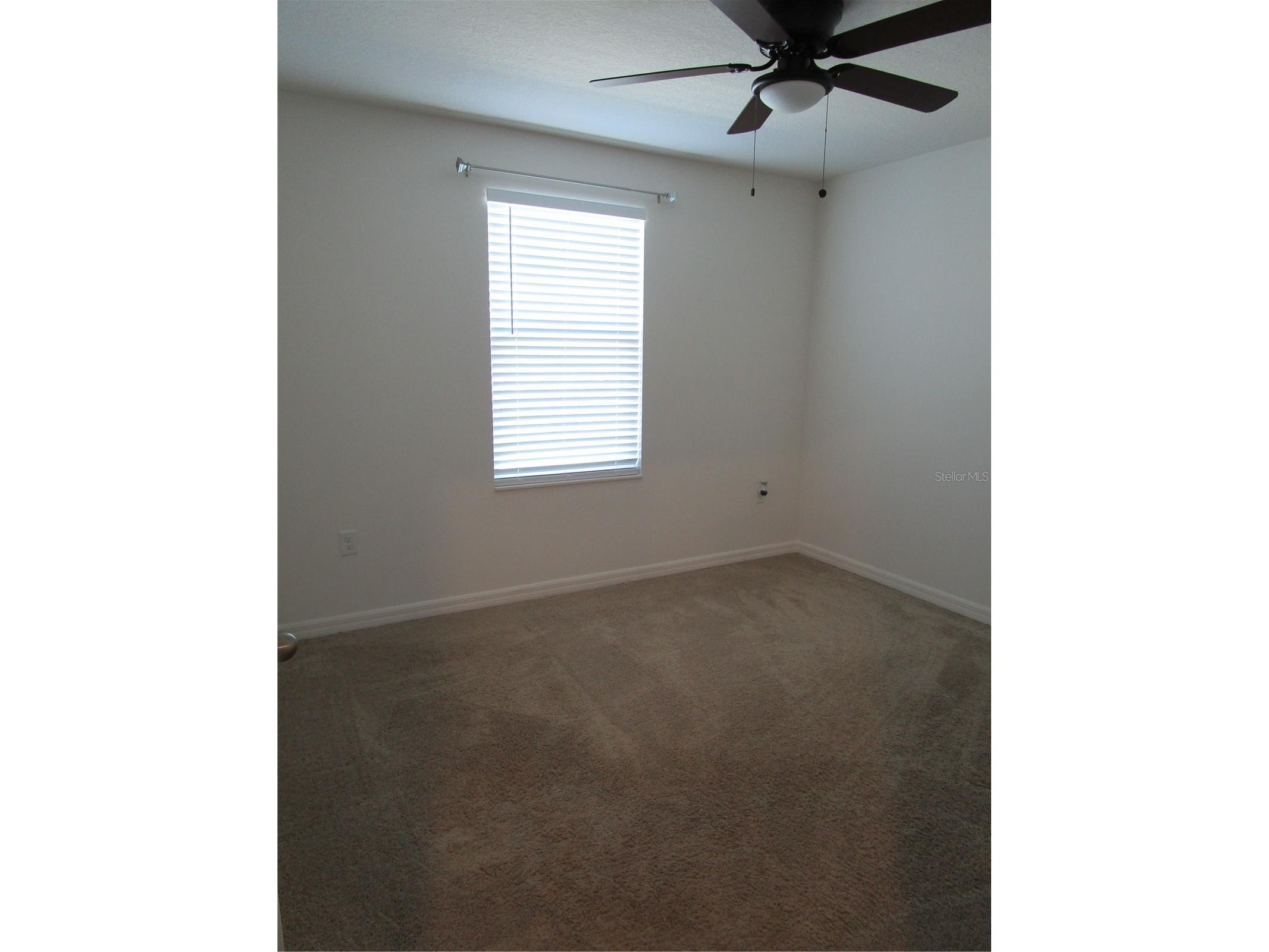 5517 Fez Court Brooksville FL 34602 S5140309 image13