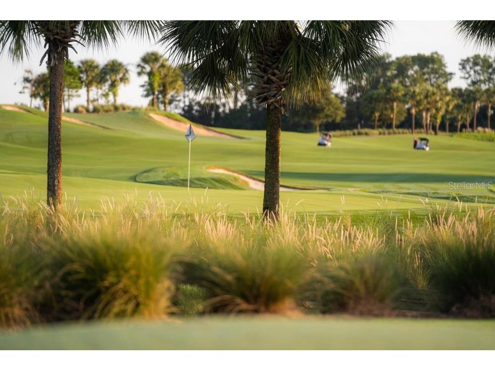 5517 Palmer Circle #203 Bradenton FL 34211 A4642457 image82