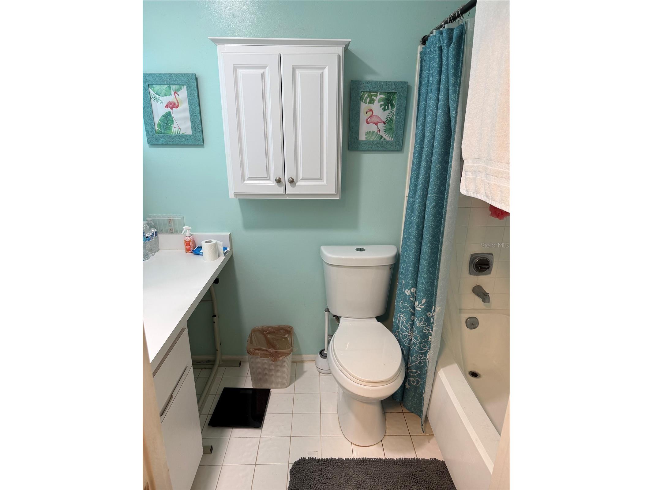 5517 Westbrook Drive Orlando FL 32821 O6383181 image14