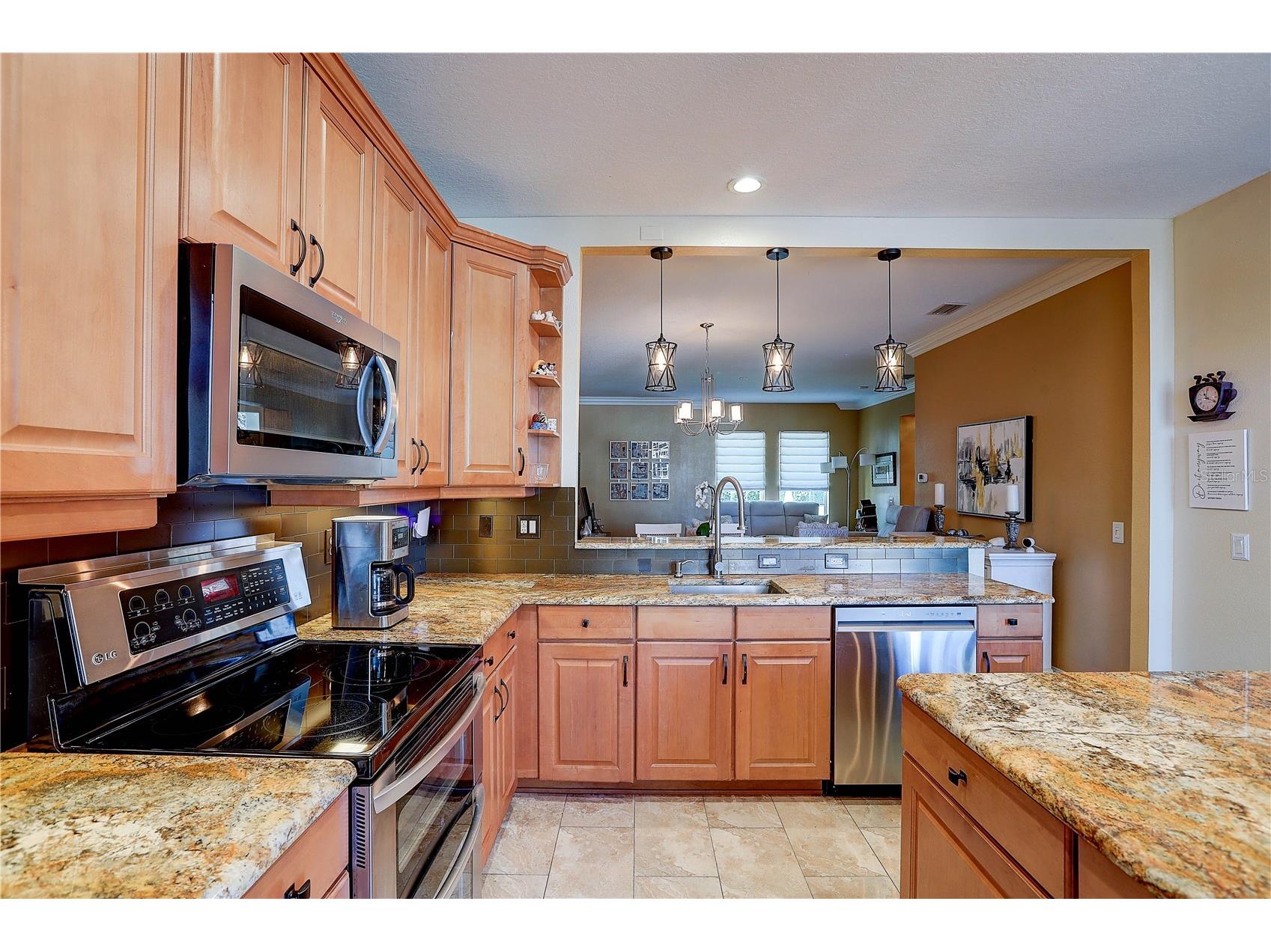 5518 Luminar Pointe Lane Apollo Beach FL 33572 TB8480468 image19