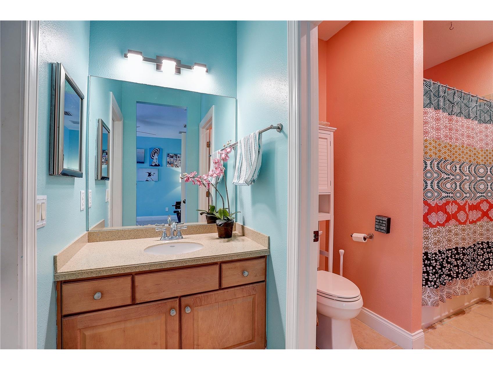 5518 Luminar Pointe Lane Apollo Beach FL 33572 TB8480468 image24