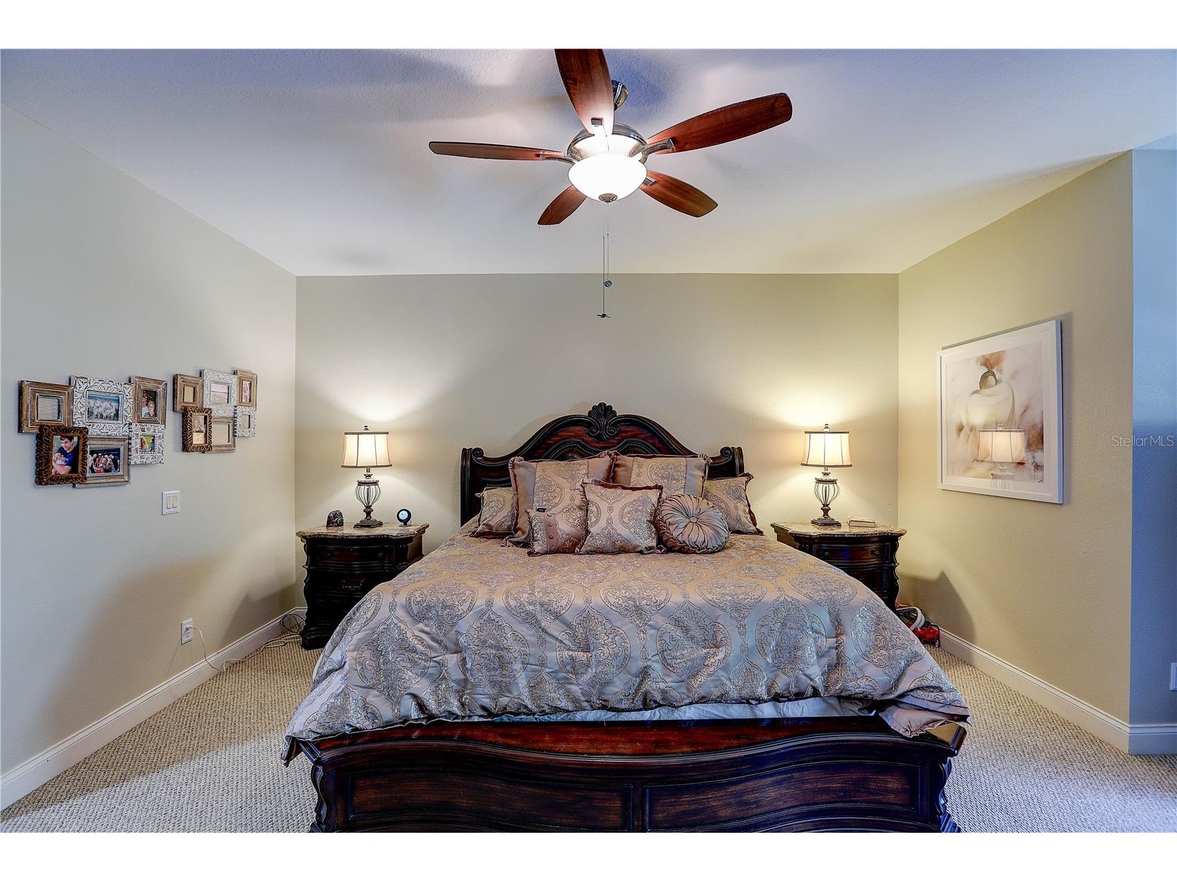 5518 Luminar Pointe Lane Apollo Beach FL 33572 TB8480468 image36