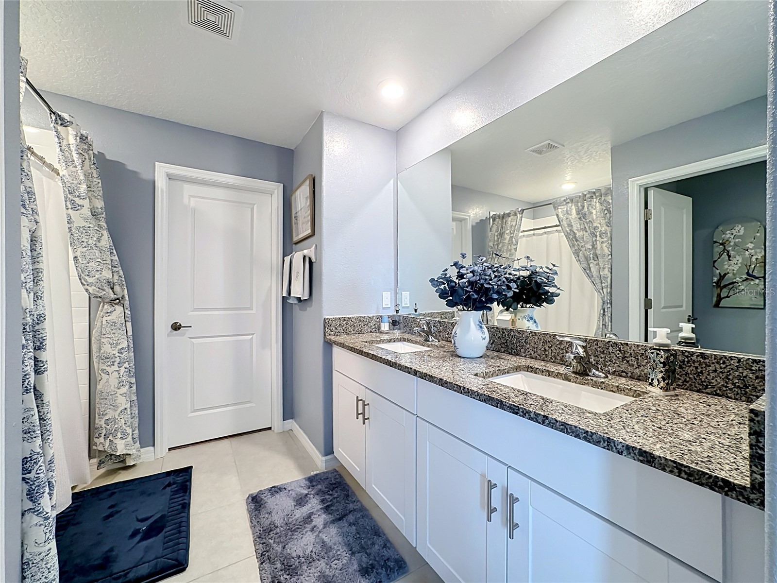 5519 Blue Azure Drive Wimauma FL 33598 TB8506090 image29