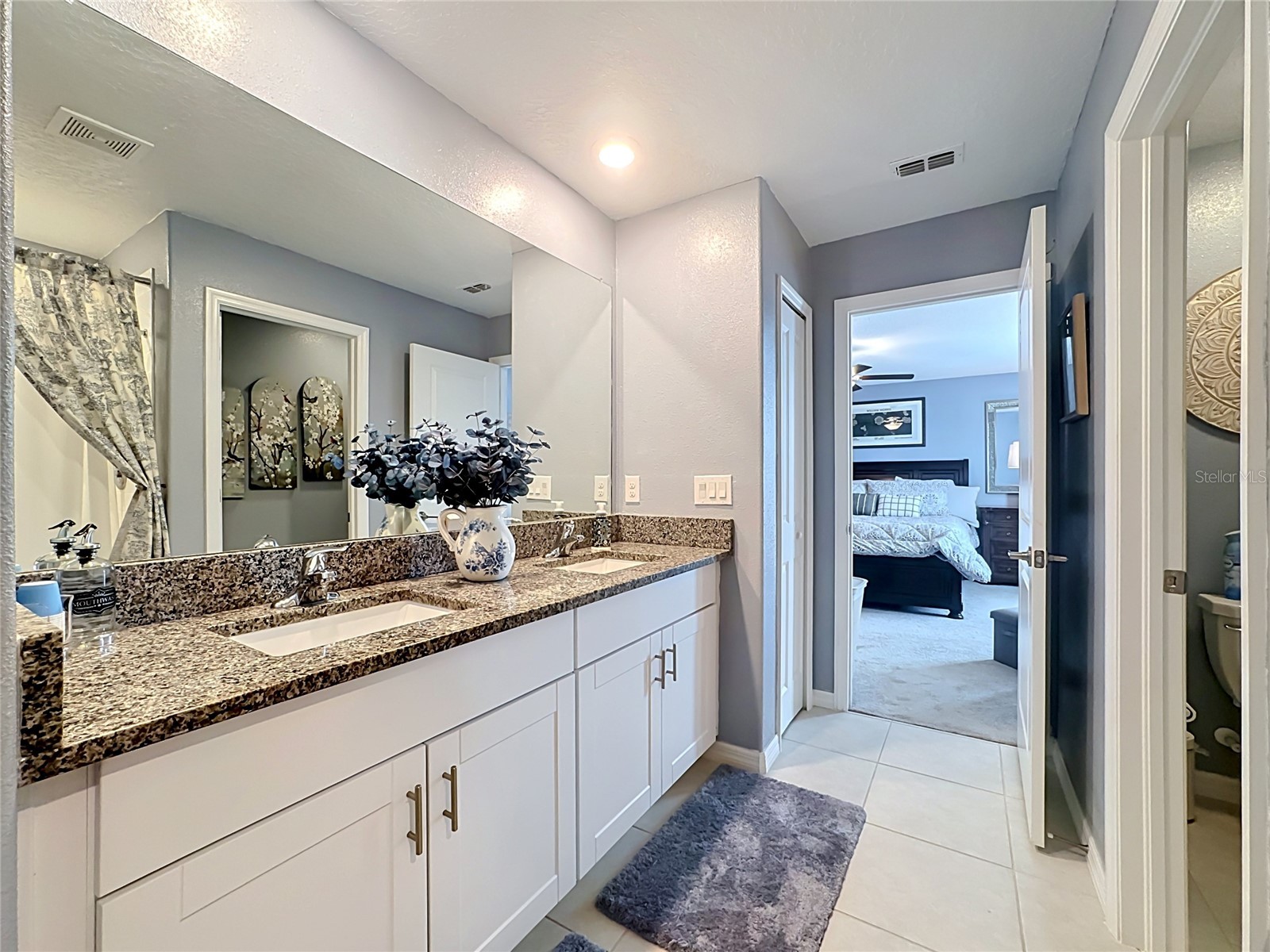 5519 Blue Azure Drive Wimauma FL 33598 TB8506090 image31