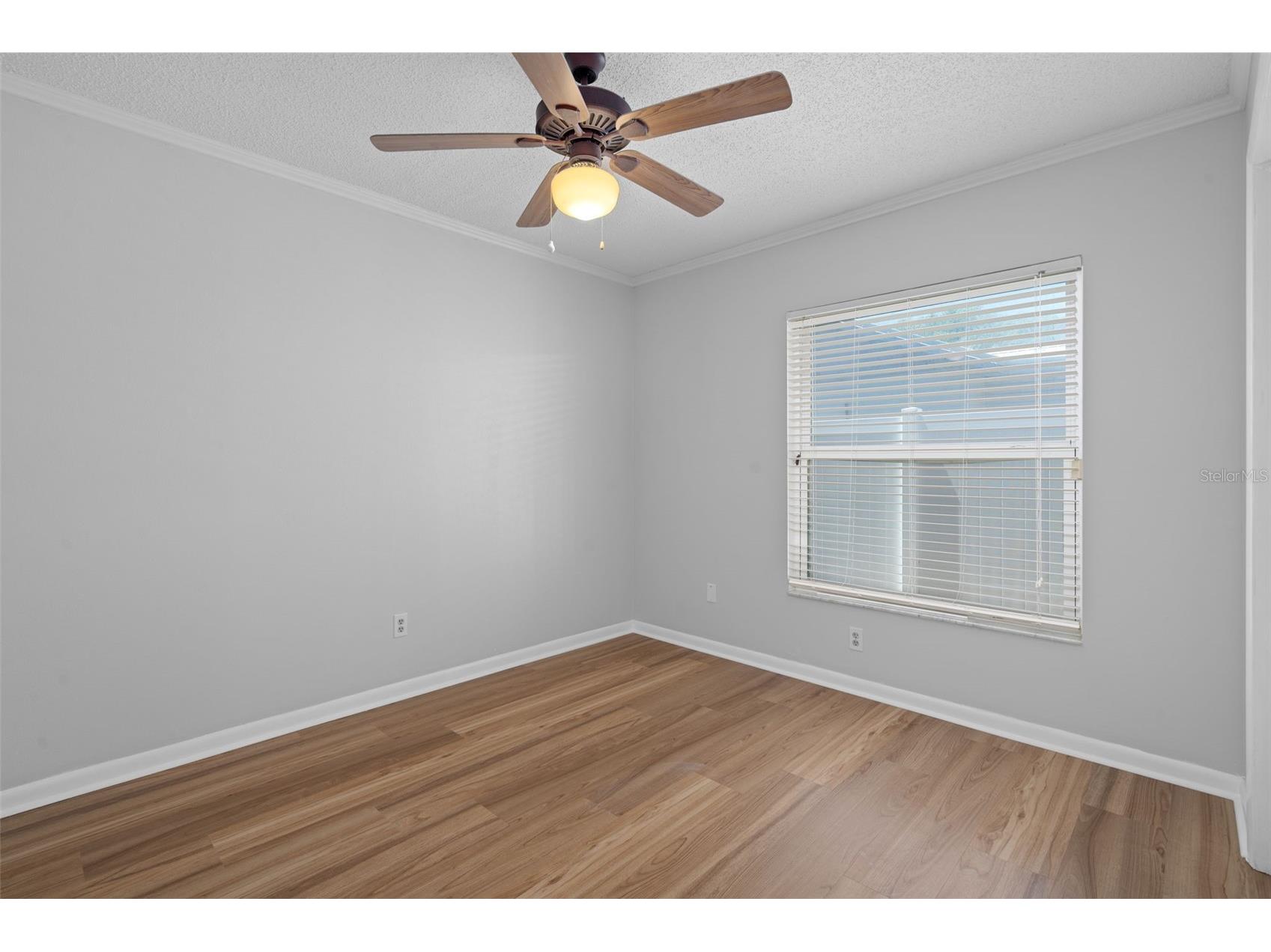 5519 Fulmar Drive Tampa FL 33625 W7881967 image41