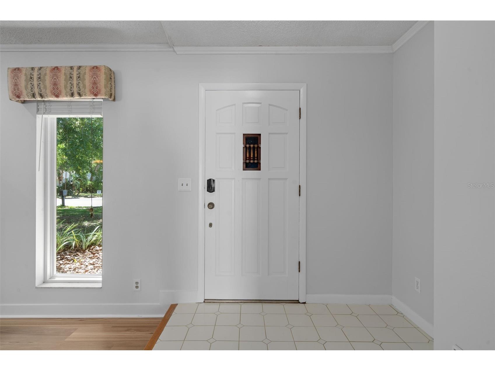 5519 Fulmar Drive Tampa FL 33625 W7881967 image5