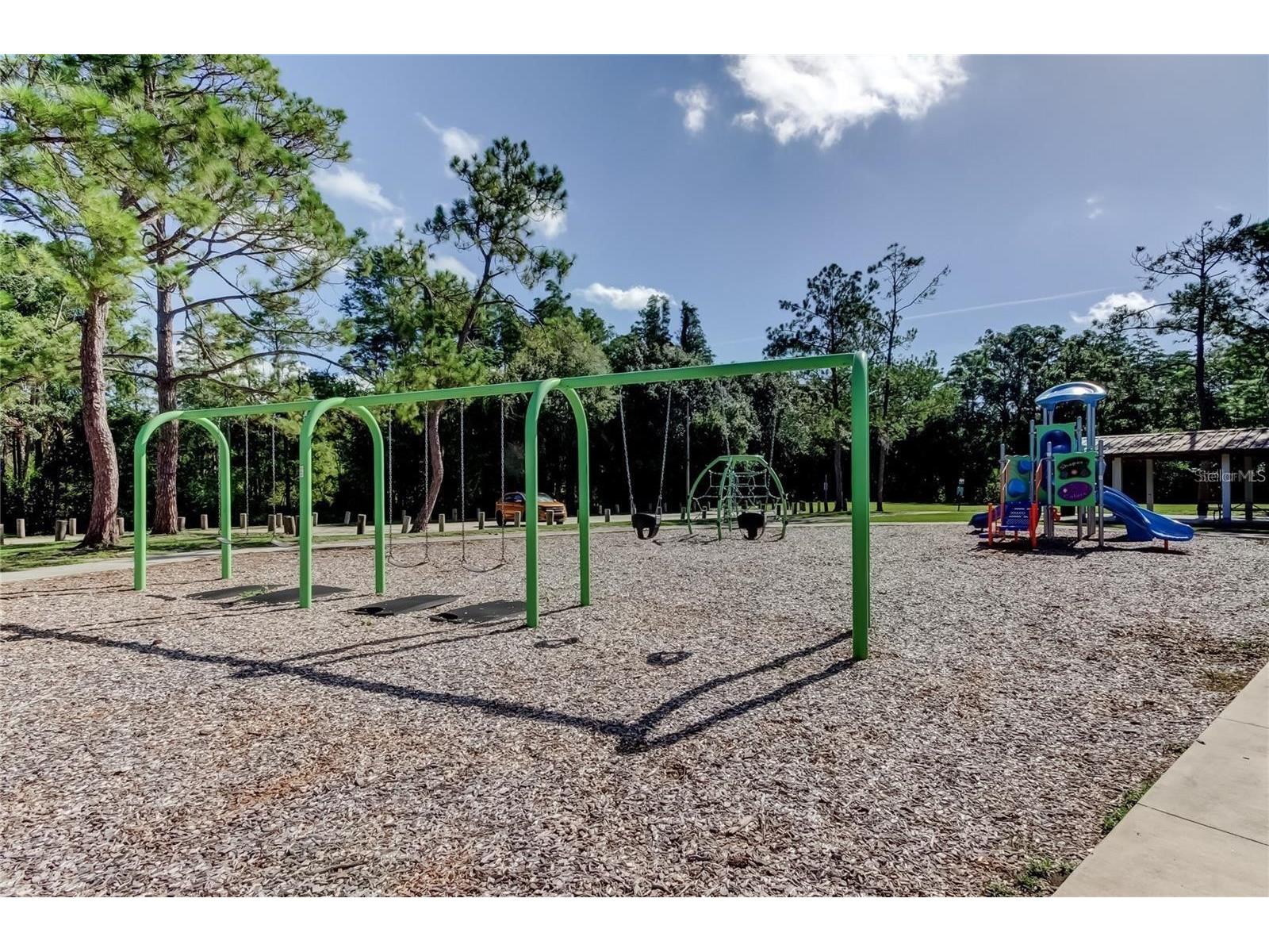 5519 Fulmar Drive Tampa FL 33625 W7881967 image64
