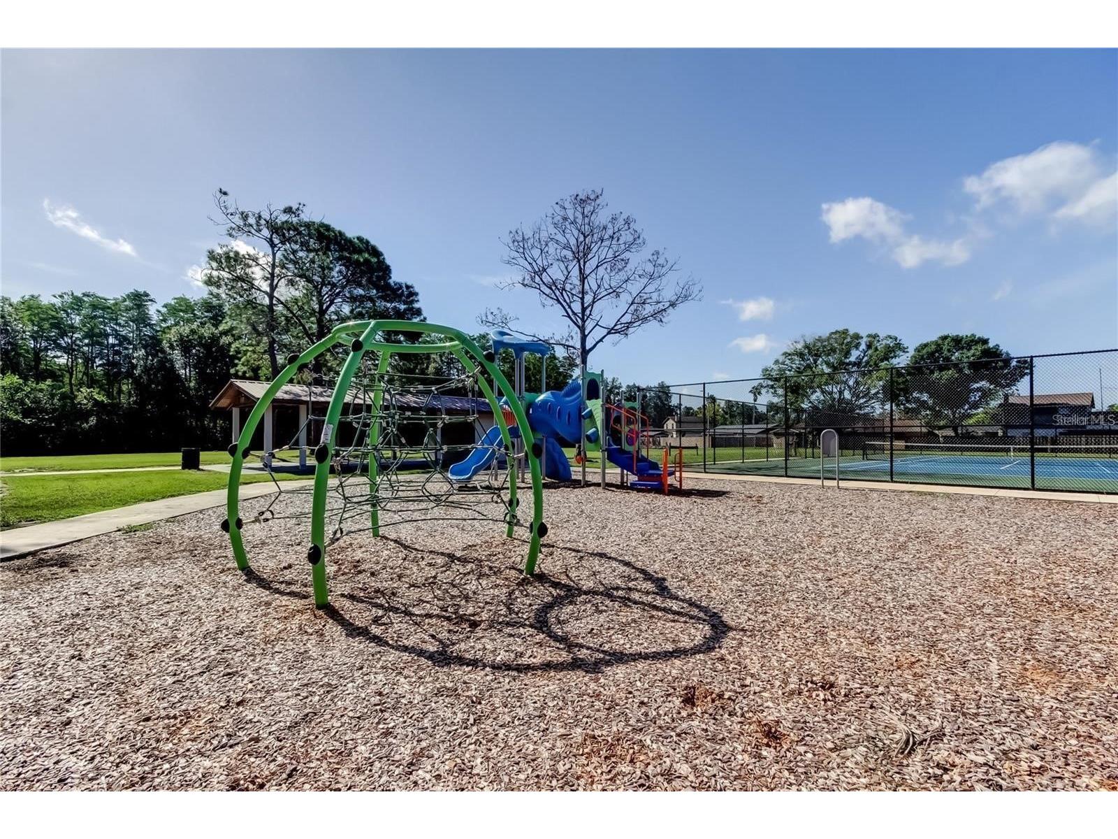 5519 Fulmar Drive Tampa FL 33625 W7881967 image67