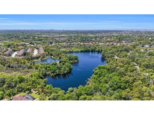 5519 Palm Aire Drive Sarasota FL 34243 A4686305 image46
