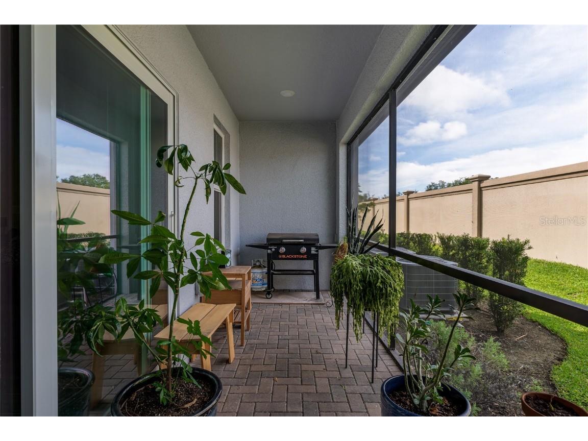 5519 Tripoli Drive Palmetto FL 34221 A4664533 image4