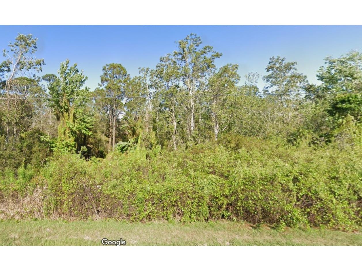 552 Bottlebrush Avenue Lake Placid FL 33852 O6191436 image1