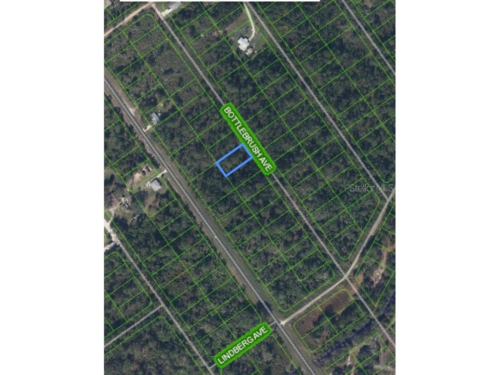 552 Bottlebrush Avenue Lake Placid FL 33852 O6203547 image1