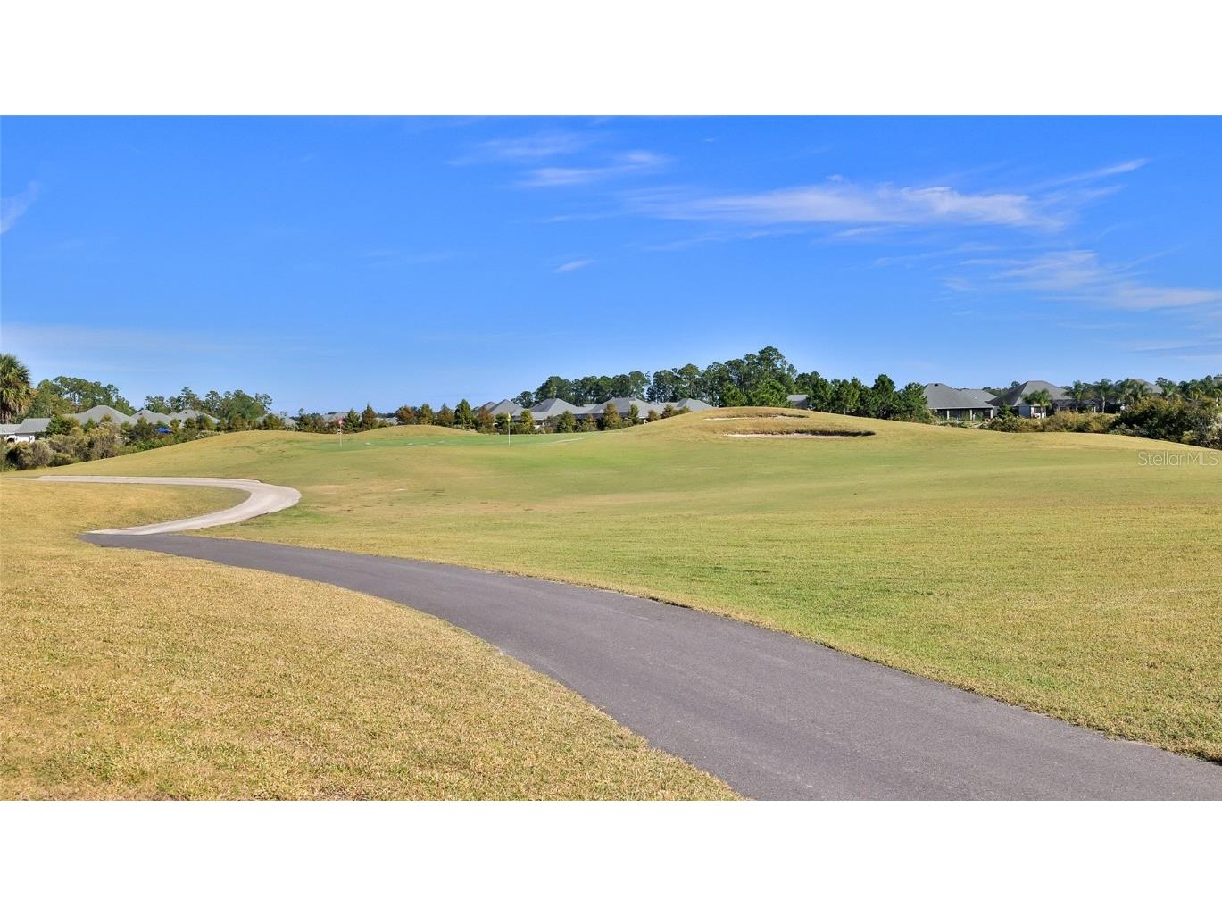 552 Caro Court New Smyrna Beach FL 32168 NS1086506 image50