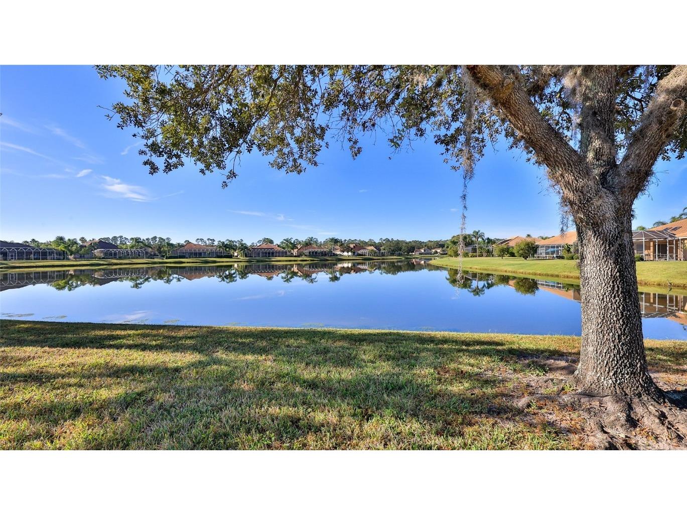 552 Caro Court New Smyrna Beach FL 32168 NS1086506 image7